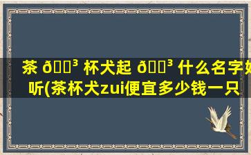 茶 🐳 杯犬起 🐳 什么名字好听(茶杯犬zui
便宜多少钱一只幼崽)